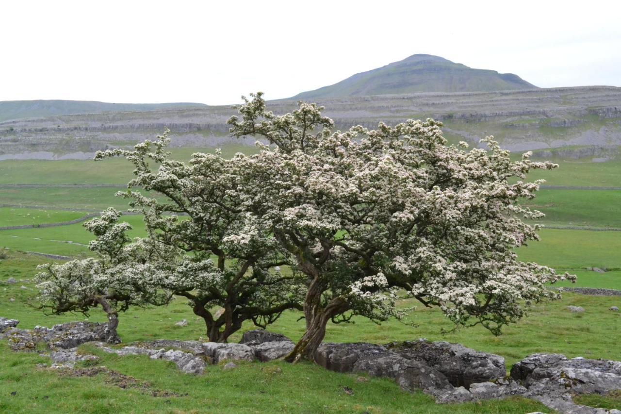 Dalecote Barn Bed & Breakfast Ingleton  Exteriör bild